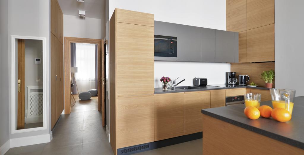 One-Bedroom Apartment Fireplace